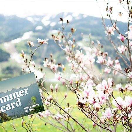 Gaestehaus Erika - By Mynests Schladming Zewnętrze zdjęcie