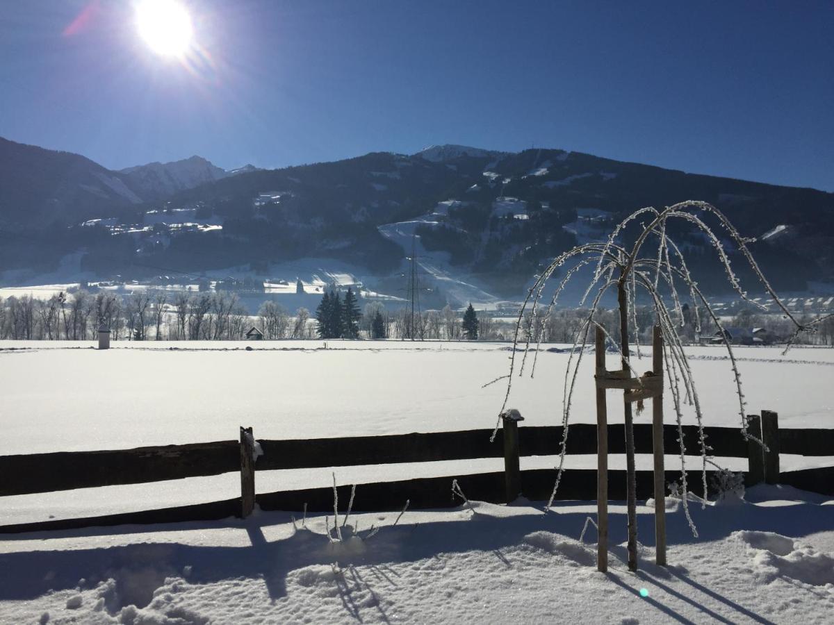 Gaestehaus Erika - By Mynests Schladming Zewnętrze zdjęcie